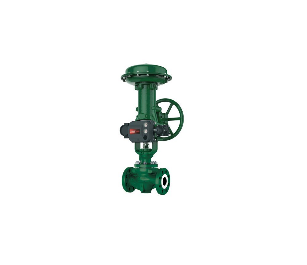 Control Valves & Final Control